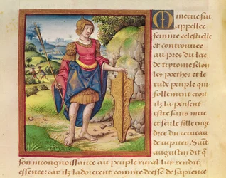 Ms 17 Minerva, aus 